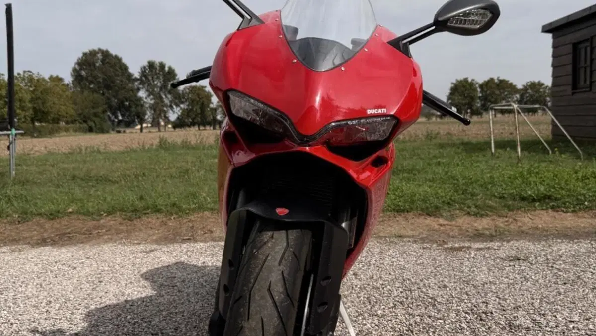 Ducati 959 Panigale (2016 - 19)  (11)