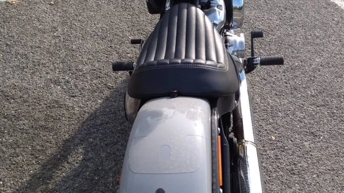Harley-Davidson Street Bob 117 (2025 - 26)  (16)