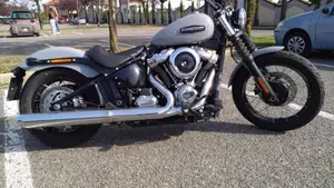 Harley-Davidson Street Bob 117 (2025 - 26)  (2)