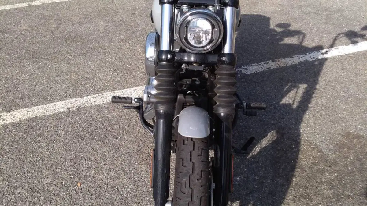 Harley-Davidson Street Bob 117 (2025 - 26)  (14)