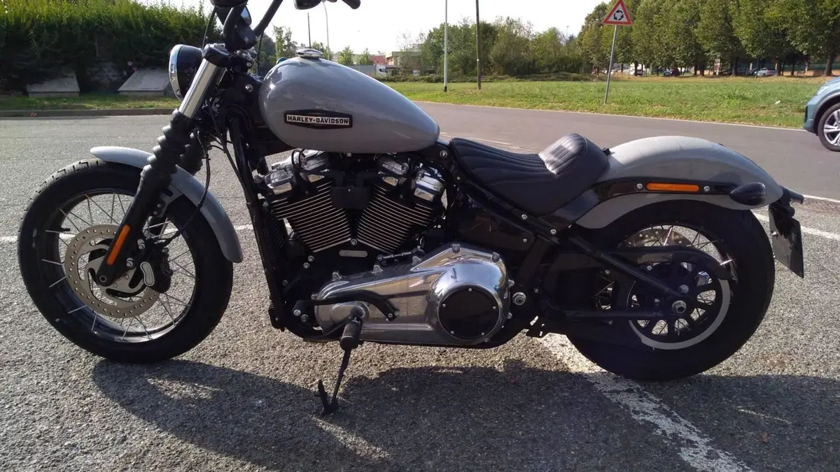 Harley-Davidson Street Bob 117 (2025 - 26)  (13)