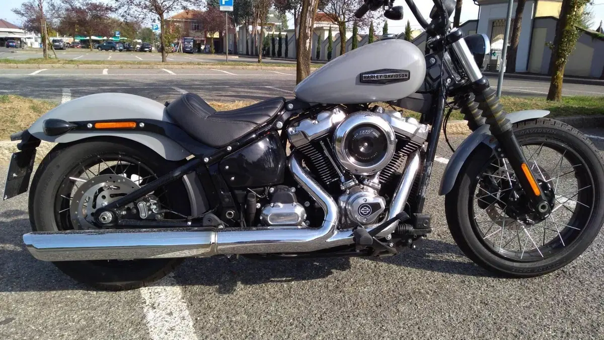 Harley-Davidson Street Bob 117 (2025 - 26) 