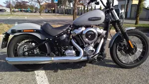 Harley-Davidson Street Bob 117 (2025 - 26) 
