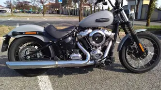 Harley-Davidson Street Bob 117 (2025 - 26) usata