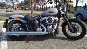 Harley-Davidson Street Bob 117 (2025 - 26)  (12)