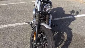 Harley-Davidson Street Bob 117 (2025 - 26)  (10)