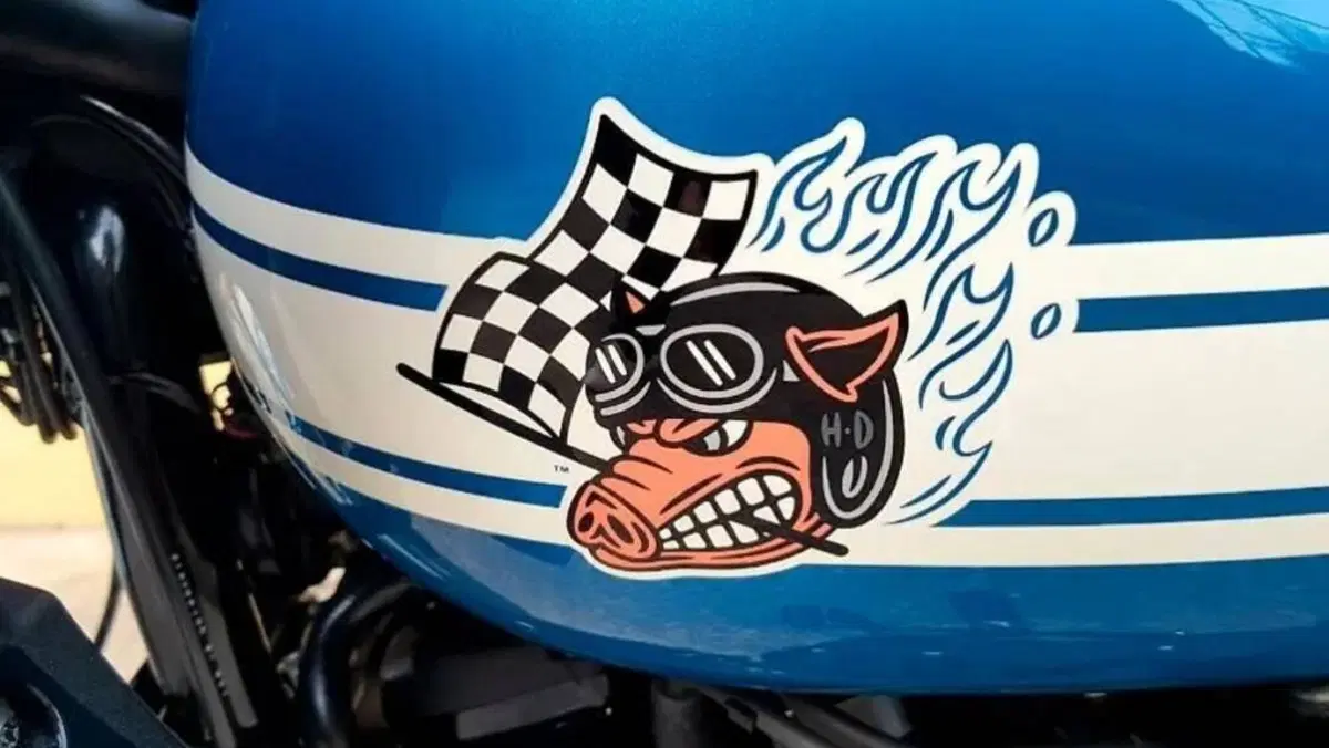 Harley-Davidson Low Rider ST (2022 - 24)  (5)
