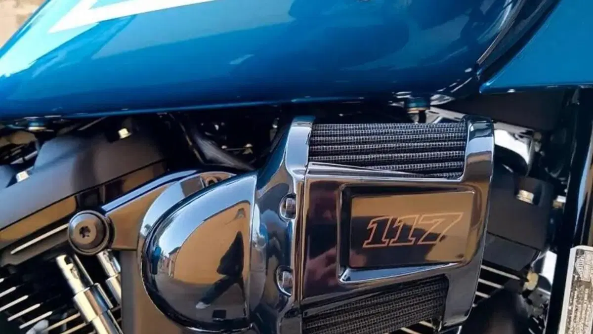 Harley-Davidson Low Rider ST (2022 - 24)  (6)