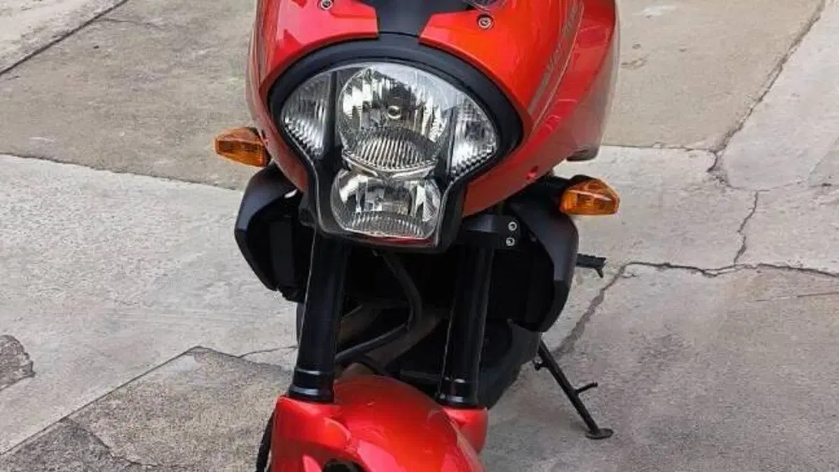 Kawasaki Versys 650 (2006 - 09)  (4)