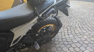 Bmw R 1300 GS Trophy (2023 - 26)  (7)
