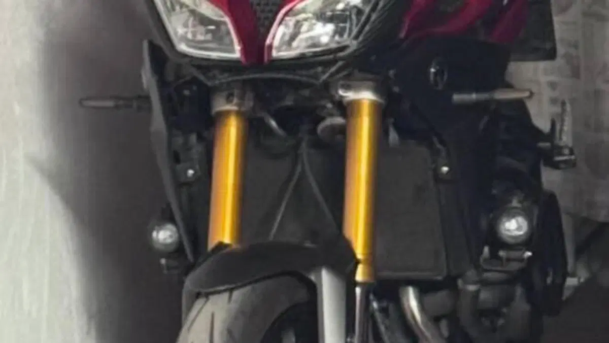 Yamaha Tracer 900 ABS (2015 - 16)  (2)