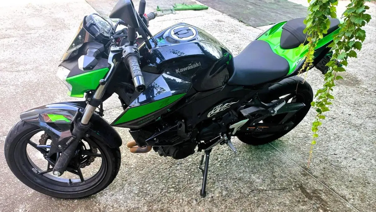 Kawasaki Z 400 (2023)  (4)