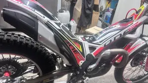TRS Motorcycles One 300 RR (2023 - 24)  (4)