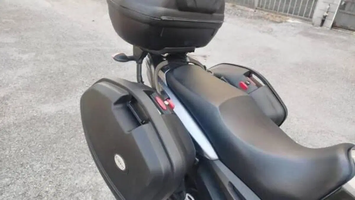 Yamaha TDM 900 (2002 - 14)  (5)