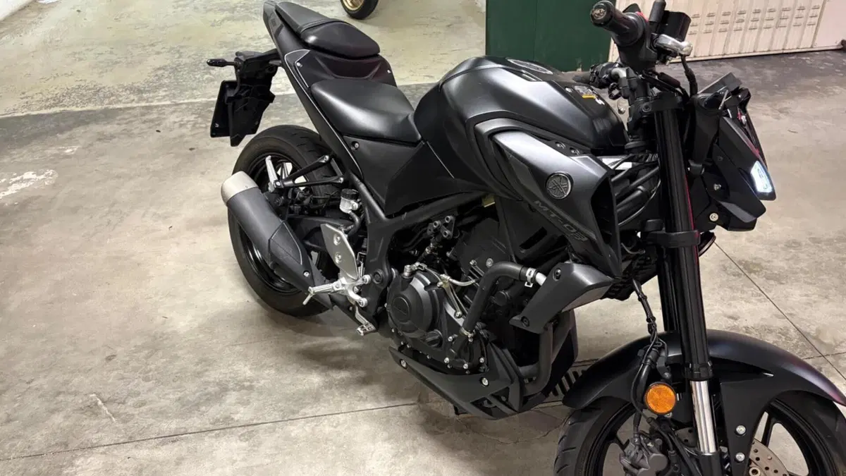 Yamaha MT-03 (2022 - 24)  (5)