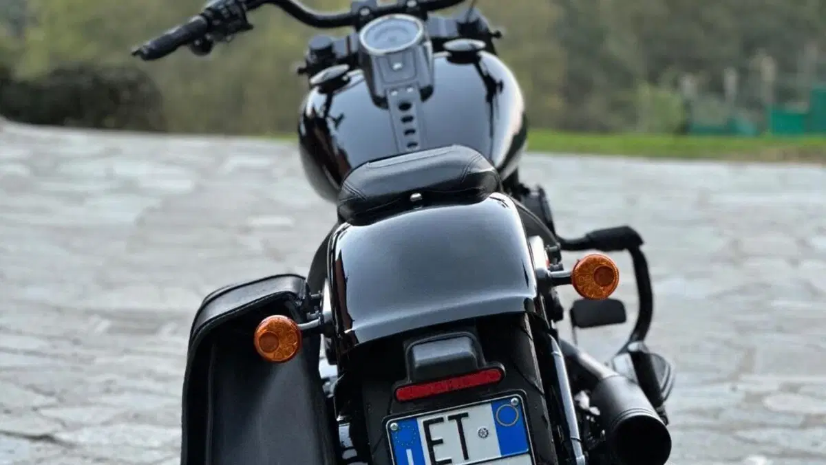 Harley-Davidson Fat Boy 114 Anniversary (2023)  (4)