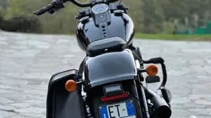 Harley-Davidson Fat Boy 114 Anniversary (2023)  (4)