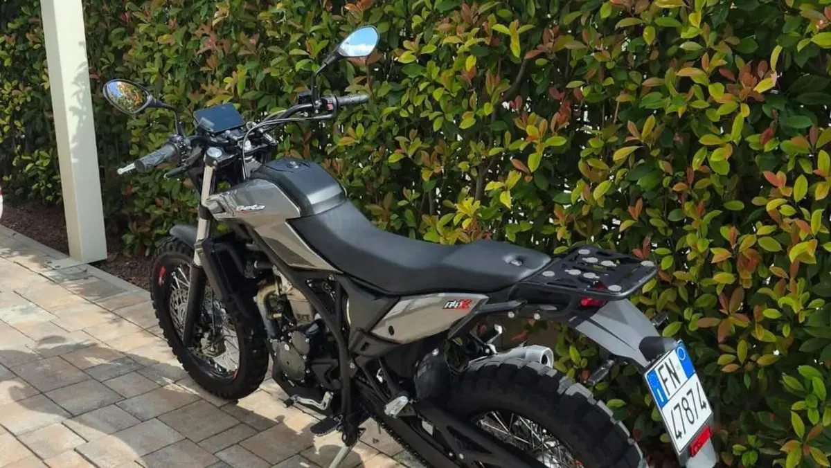 Betamotor Alp X (2024 - 26)  (7)