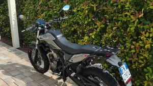 Betamotor Alp X (2024 - 26)  (7)