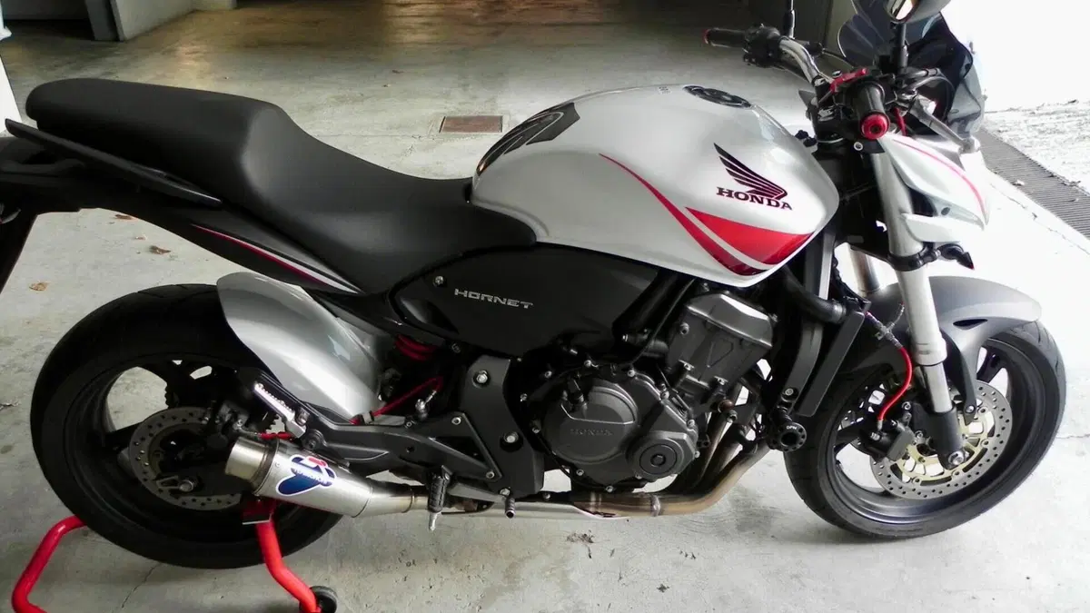 Honda Hornet 600 (2007 - 10)  (3)