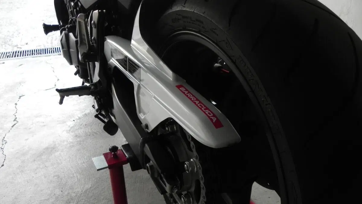 Honda Hornet 600 (2007 - 10)  (5)