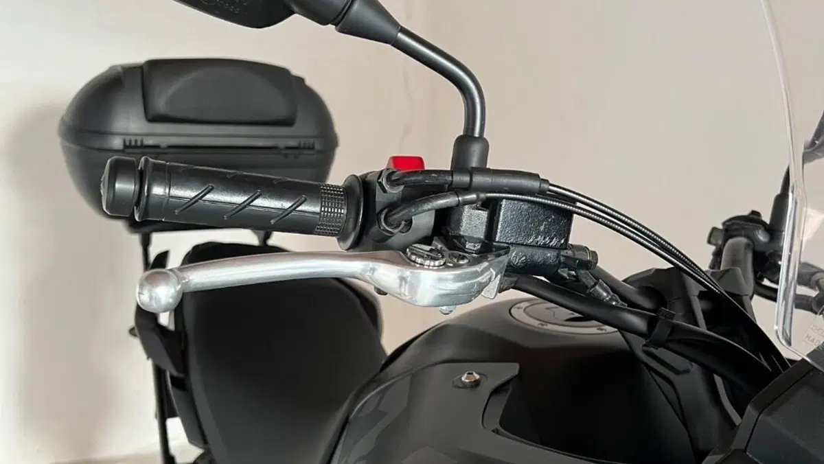 Honda CB 500 X (2019 - 20)  (9)