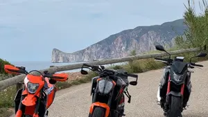 KTM 690 SMC R (2023 - 25)  (6)
