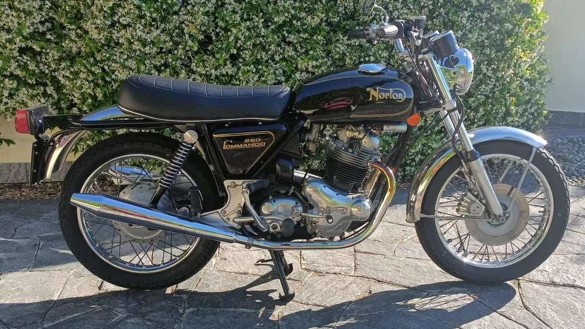 Norton  