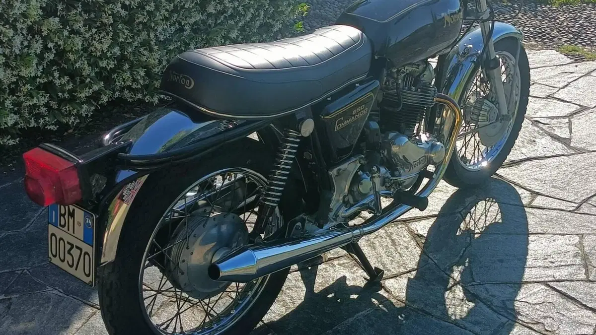 Norton   (3)
