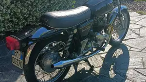 Norton   (3)