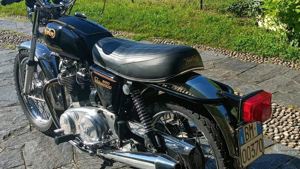 Norton   (4)
