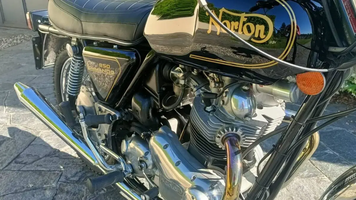 Norton   (5)