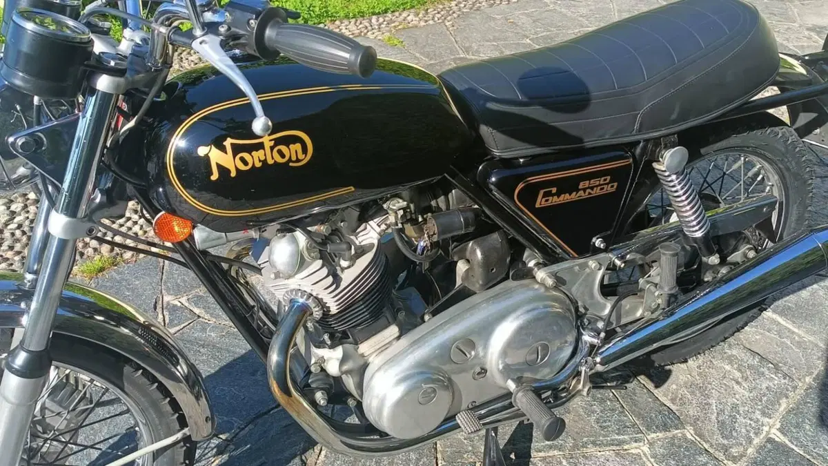 Norton   (6)