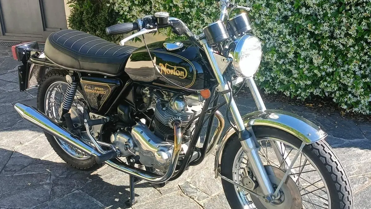 Norton   (9)