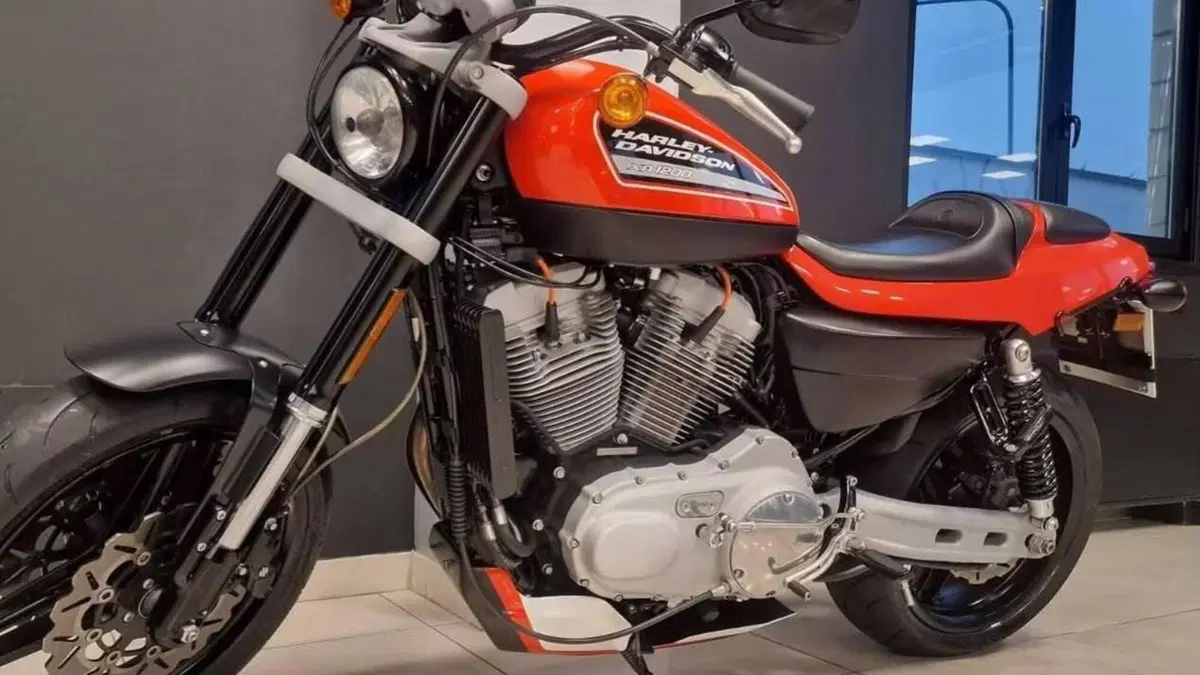 Harley-Davidson 1200 XR (2009 - 12)  (8)