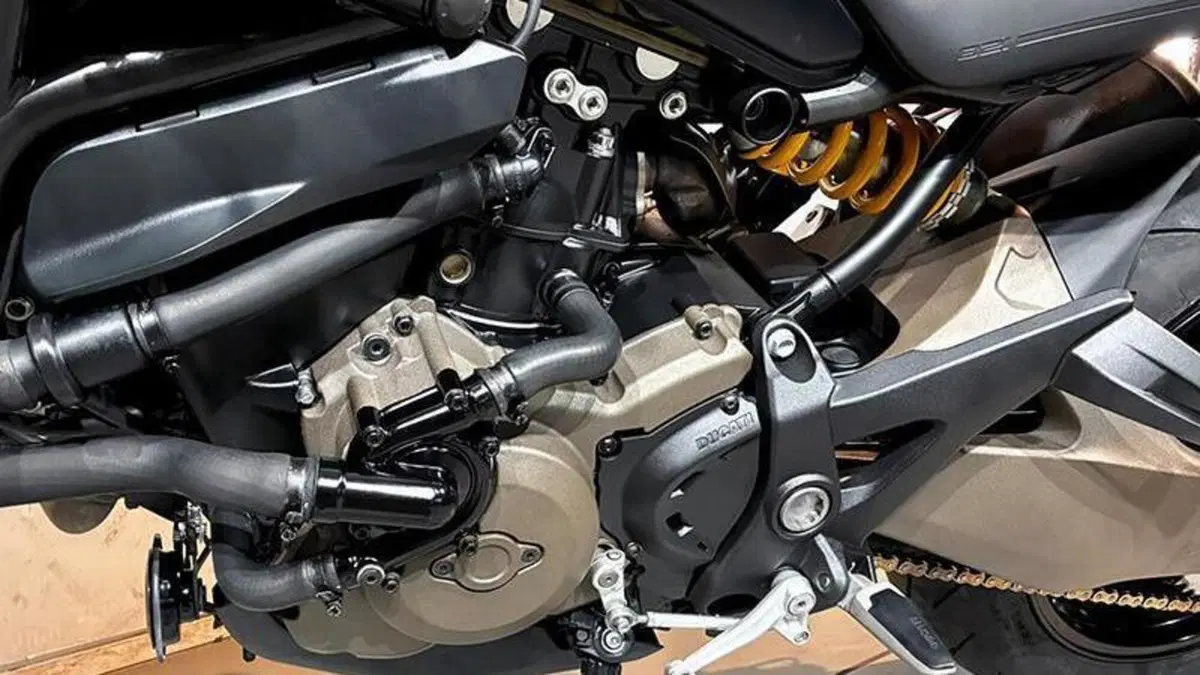 Ducati Monster 821 ABS (2014 - 17)  (6)