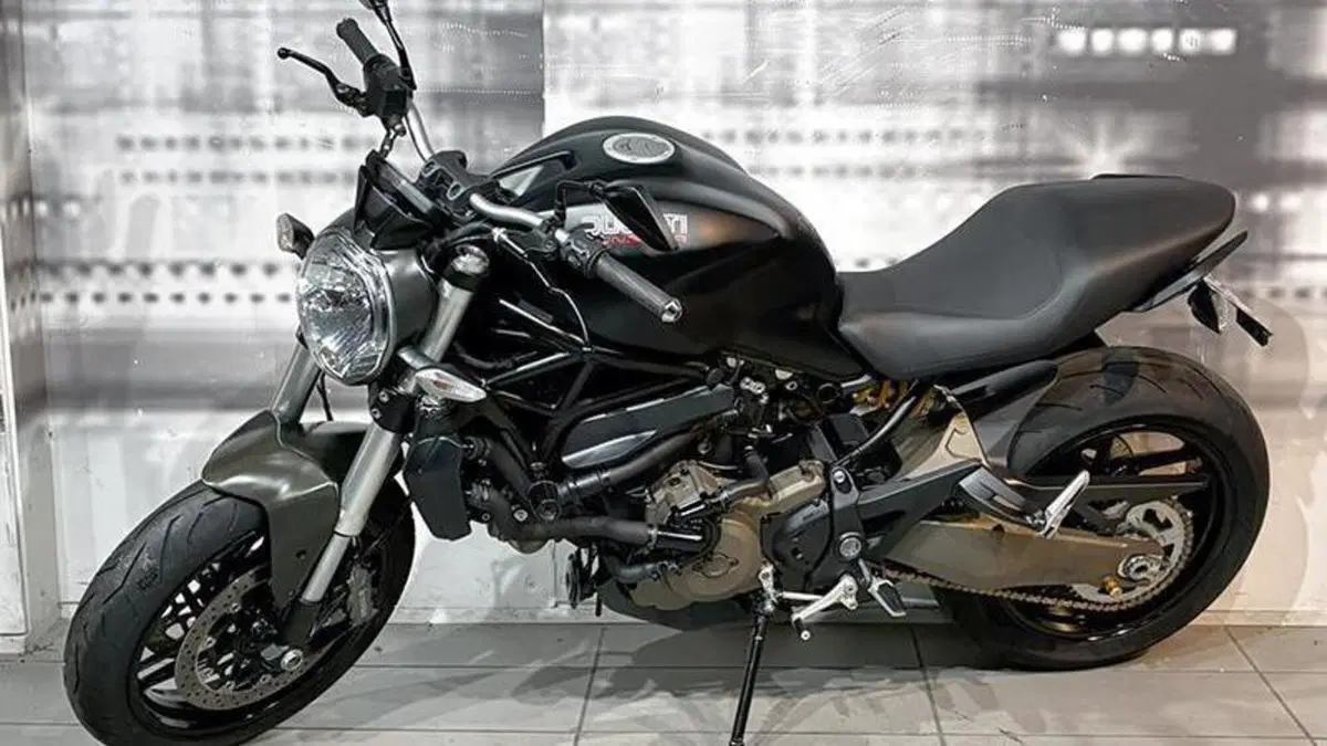Ducati Monster 821 ABS (2014 - 17)  (7)