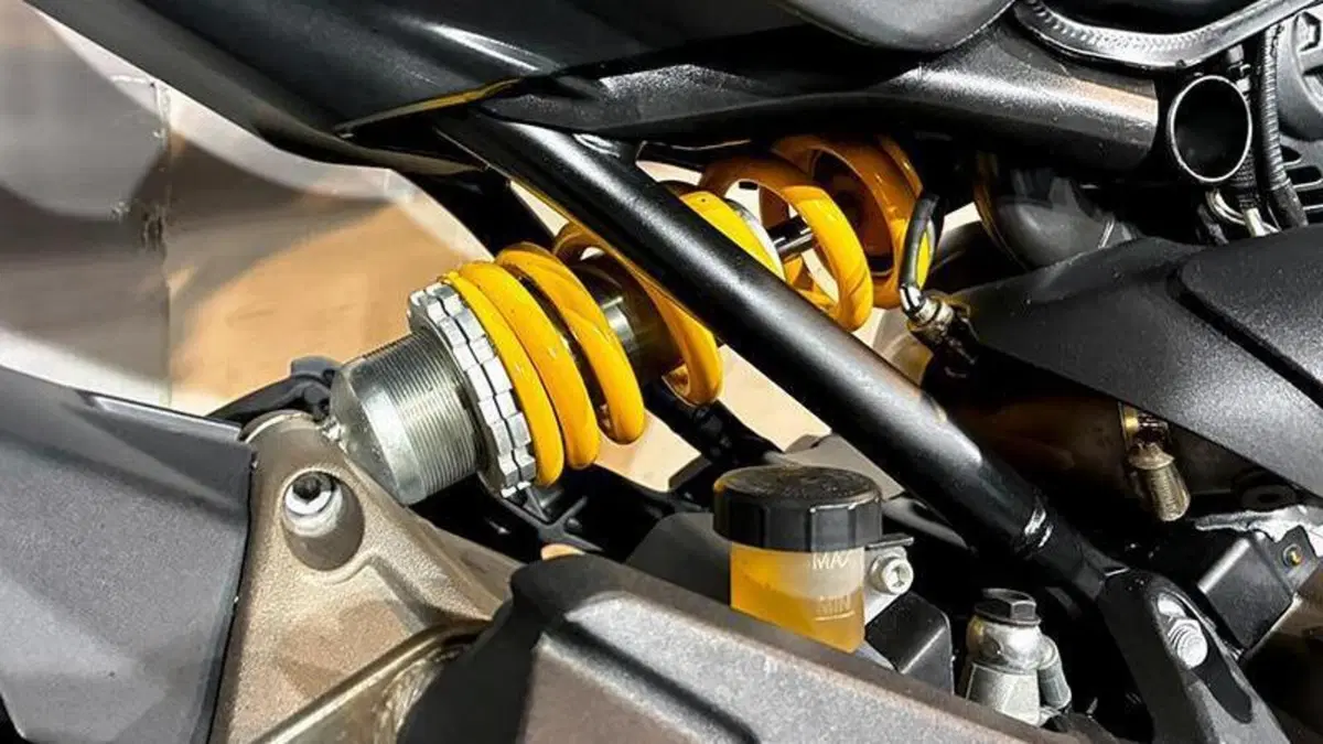 Ducati Monster 821 ABS (2014 - 17)  (9)
