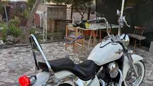 Kawasaki VN 800 Classic (1996 - 00)  (4)