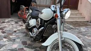 Kawasaki VN 800 Classic (1996 - 00)  (5)