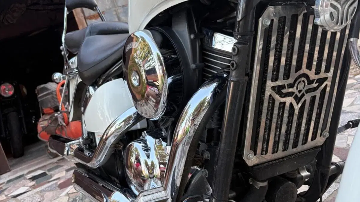 Kawasaki VN 800 Classic (1996 - 00)  (7)