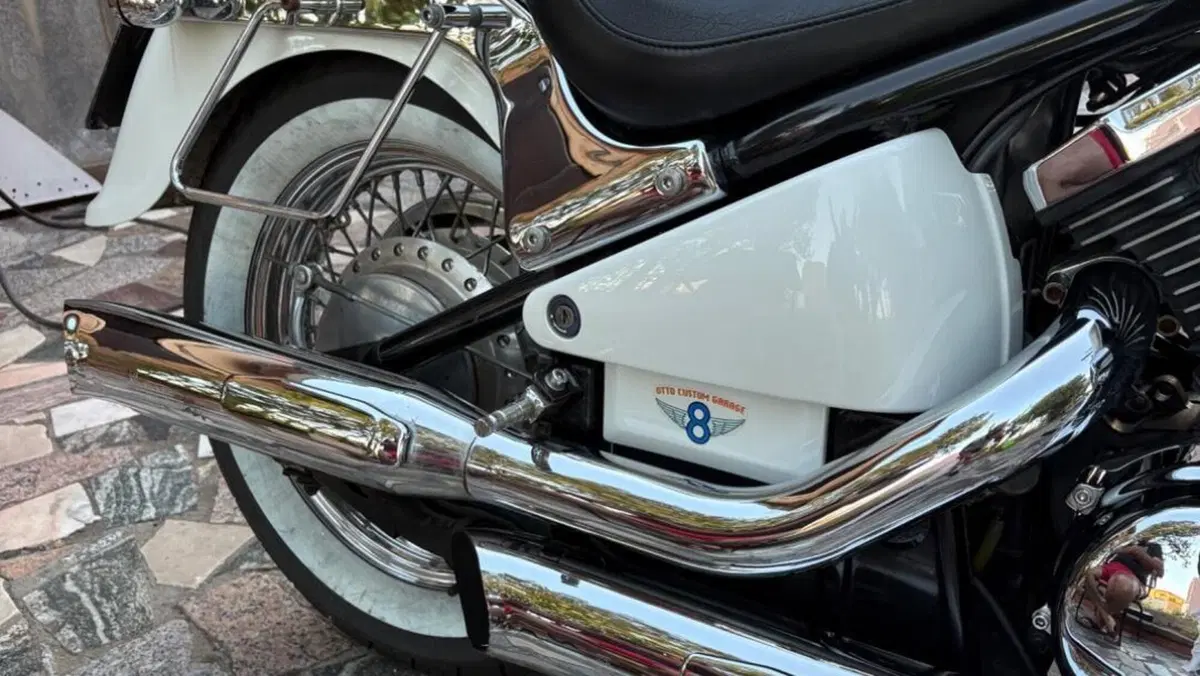 Kawasaki VN 800 Classic (1996 - 00)  (9)