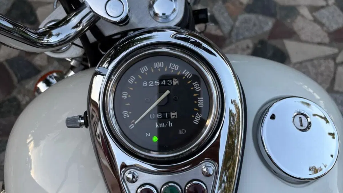 Kawasaki VN 800 Classic (1996 - 00)  (10)