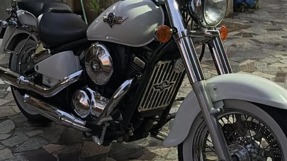 Kawasaki VN 800 Classic (1996 - 00)  (11)