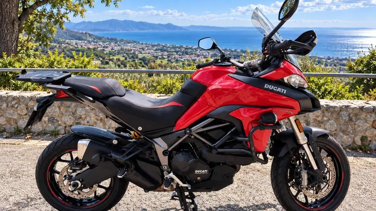 Ducati Multistrada 950 (2018)  (3)
