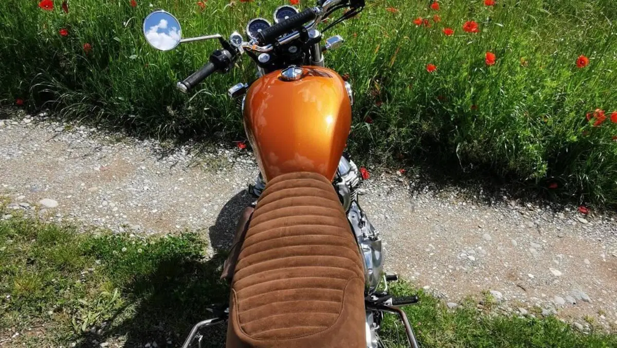 Royal Enfield Interceptor 650 (2021 - 26)  (4)