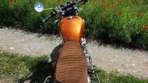 Royal Enfield Interceptor 650 (2021 - 26)  (4)