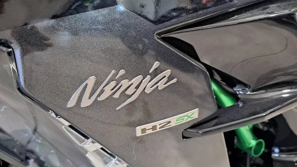 Kawasaki Ninja H2 SX SE (2023 - 26)  (4)