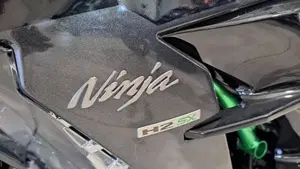 Kawasaki Ninja H2 SX SE (2023 - 26)  (4)