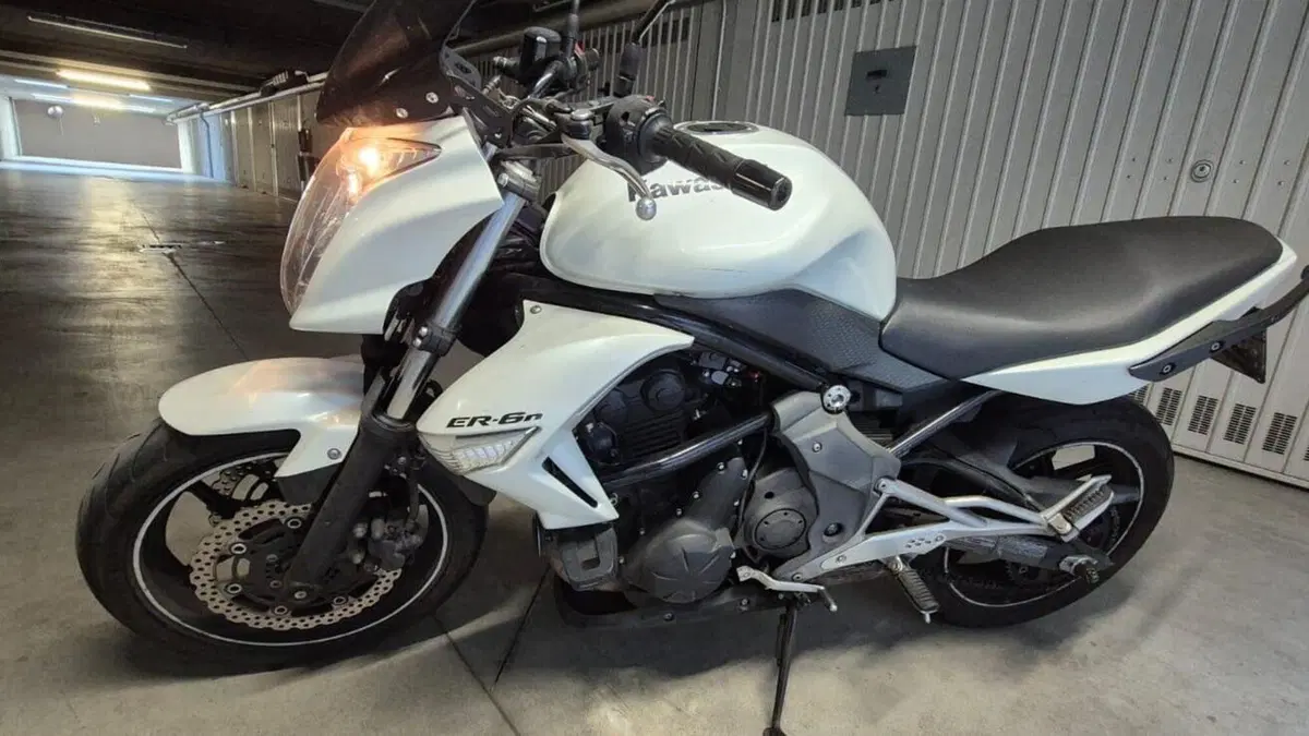Kawasaki ER-6N (2009 - 11)  (3)